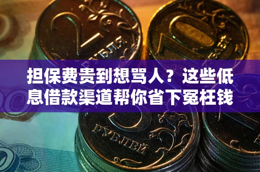 济南担保费贵到想骂人？这些低息借款渠道帮你省下冤枉钱