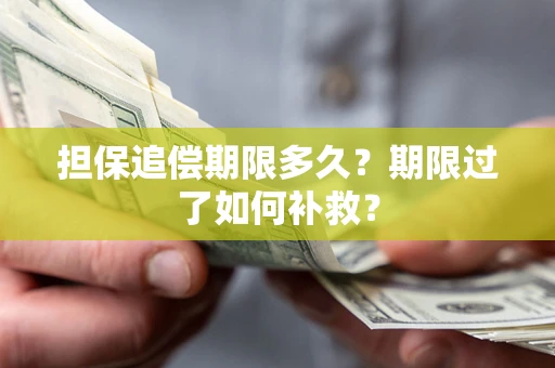 济南担保追偿期限多久？期限过了如何补救？