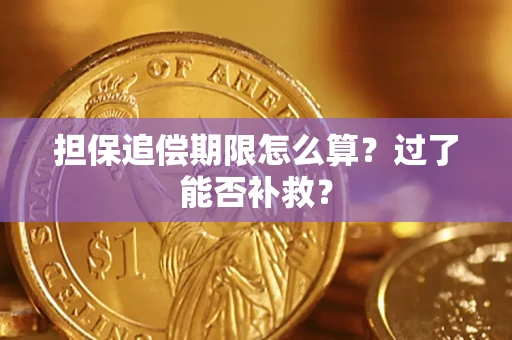 济南担保追偿期限怎么算？过了能否补救？